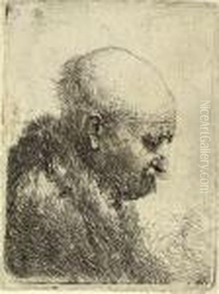 A Bald-headed Man In Profile 
Right; Small Bust; The Artist's Father (?) (b., Holl. 294; H. 24) Oil Painting by Rembrandt Van Rijn