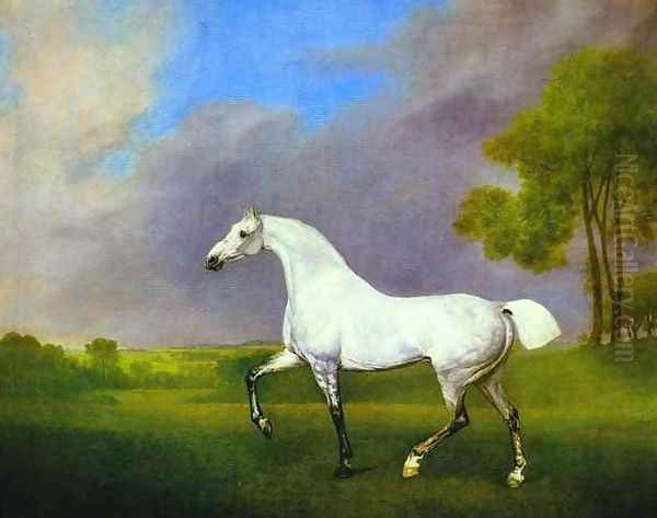 A Grey Horse Oil Painting by George Stubbs