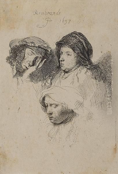 Three Heads Of Women; One Asleep (bartsch 368) Oil Painting by Rembrandt Van Rijn