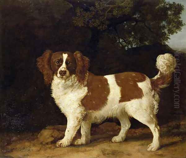 A Liver and White Spaniel, 1777 Oil Painting by George Stubbs