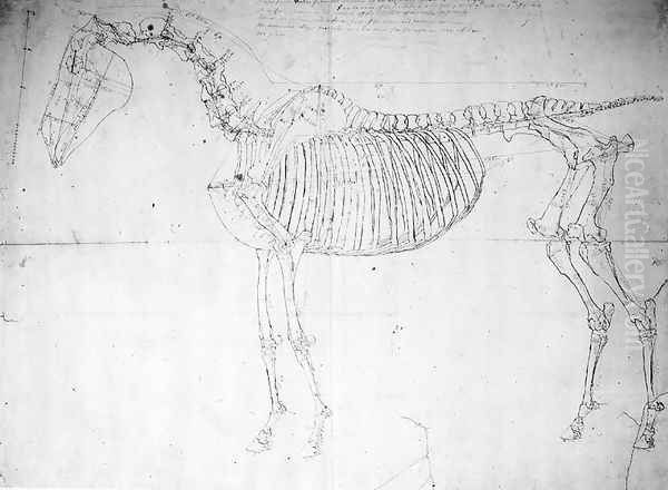 Anatomical study of a horse Oil Painting by George Stubbs