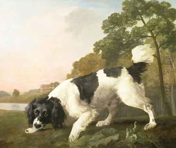 A Spaniel in a Landscape, 1771 Oil Painting by George Stubbs