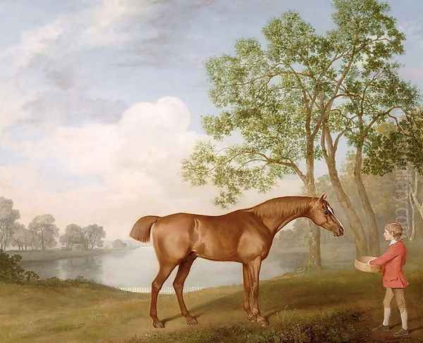 Pumpkin with a Stable-Lad, 1774 Oil Painting by George Stubbs