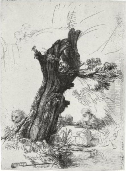 St. Jerome Beside A Pollard Willow (b., Holl. 103; H. 232; Bb. 48-b) Oil Painting by Rembrandt Van Rijn