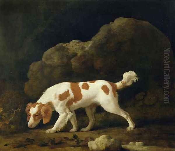 A Spaniel Oil Painting by George Stubbs