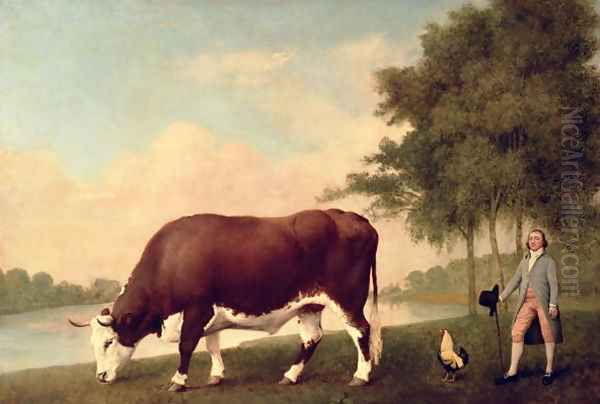 The Lincolnshire Ox, c.1790 Oil Painting by George Stubbs