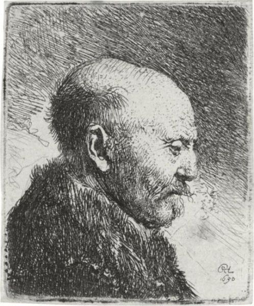 Bald Headed Man In Profile 
Right: The Artist's Father (?) (b., Holl. 292; H. 23; Bb. 30-g) Oil Painting by Rembrandt Van Rijn