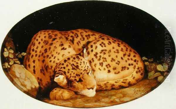 Sleeping Leopard, 1777 Oil Painting by George Stubbs