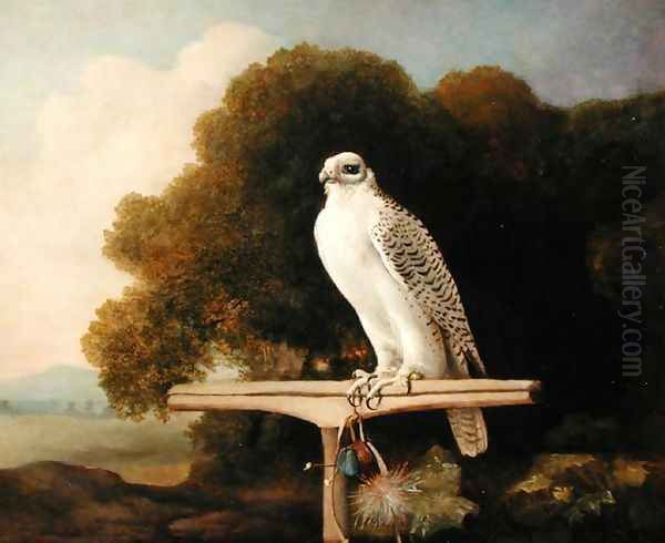 Greenland Falcon Grey Falcon, 1780 Oil Painting by George Stubbs