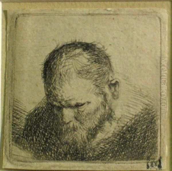 A Bearded Man Looking Down Oil Painting by Rembrandt Van Rijn