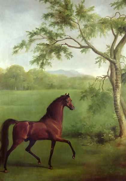 An Arabian Stallion beneath a Tree, c.1761-63 Oil Painting by George Stubbs