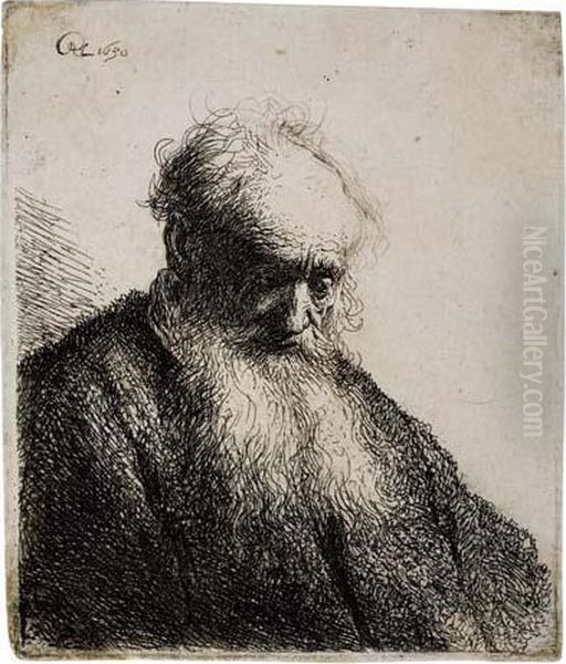 Old Man With A Flowing Beard Oil Painting by Rembrandt Van Rijn