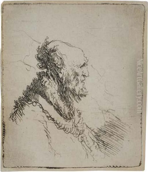 Bald Old Man With A Short Beard, In Profile Right Oil Painting by Rembrandt Van Rijn