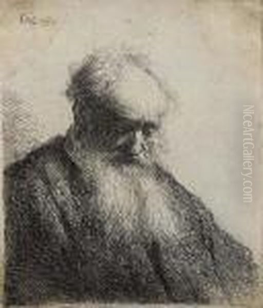 Old Man With Flowing Beard, Bust Oil Painting by Rembrandt Van Rijn