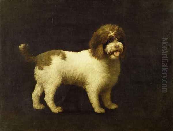 A Water Spaniel, 1769 Oil Painting by George Stubbs