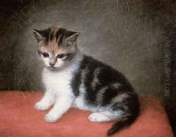 Miss Ann Whites Kitten, 1790 Oil Painting by George Stubbs