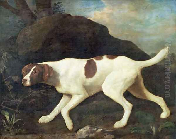 Phillis, a Pointer of Lord Clermonts, 1772 Oil Painting by George Stubbs