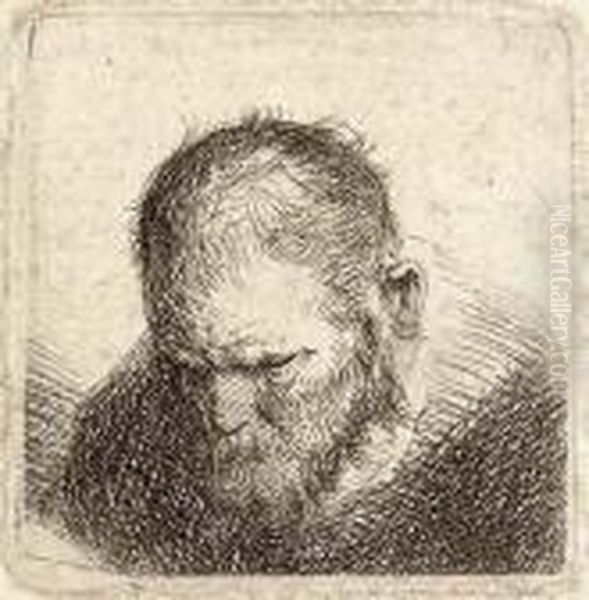 A Bearded Man Looking Down Oil Painting by Rembrandt Van Rijn