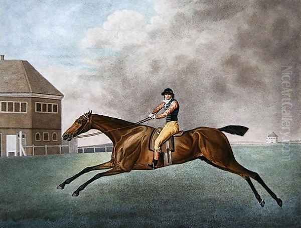 Baronet, 1794 Oil Painting by George Stubbs