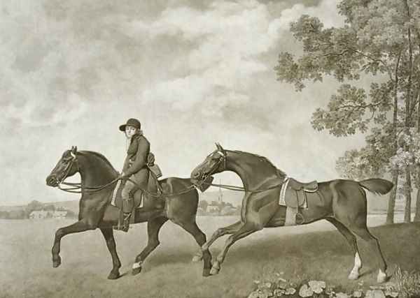 Two Hacks, engraved by George Townley Stubbs Oil Painting by George Stubbs