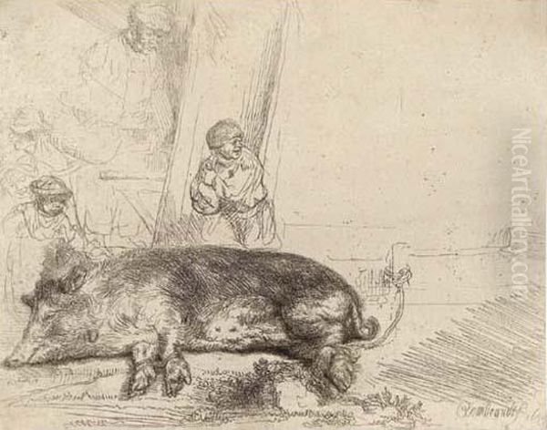 A Hog Oil Painting by Rembrandt Van Rijn