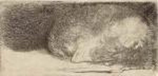 A Sleeping Puppy Oil Painting by Rembrandt Van Rijn