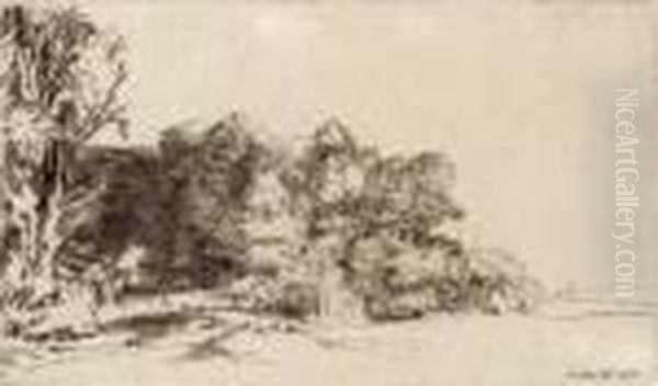 Clump Of Trees With A Vista Oil Painting by Rembrandt Van Rijn