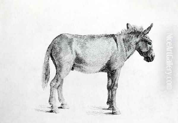 Donkey 1766 Oil Painting by George Stubbs