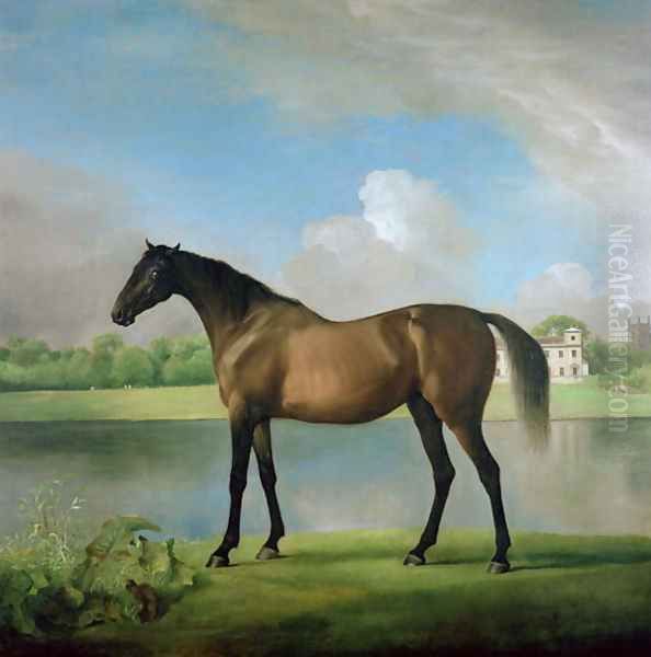 Viscount Bolingbrokes favourite hunter Oil Painting by George Stubbs