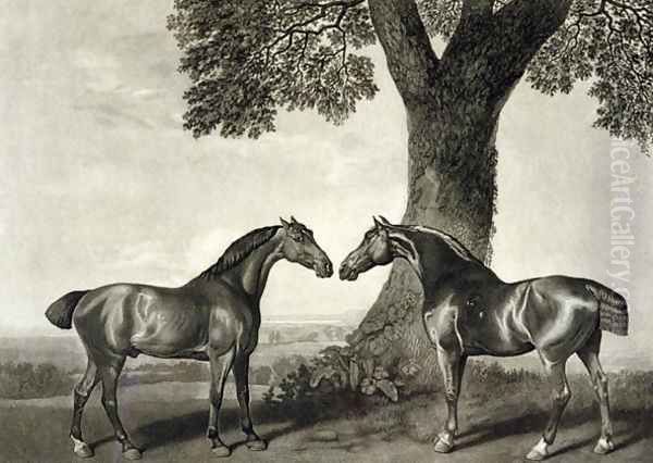 Two Hunters, engraved by G.T. Stubbs bap.1748-c.1815 Oil Painting by George Stubbs