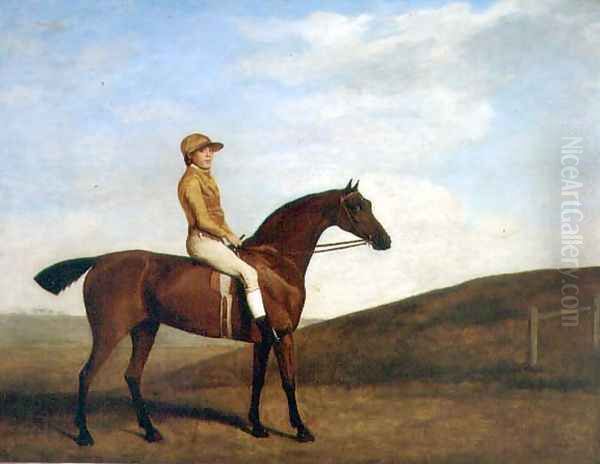 Rosaletta Oil Painting by George Stubbs