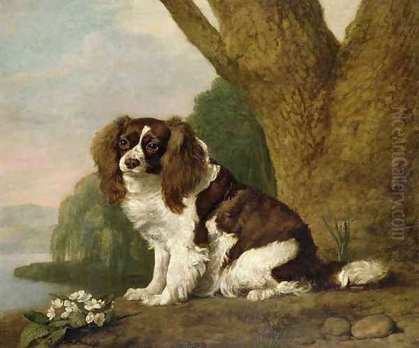 Fanny, a brown and white spaniel, 1778 Oil Painting by George Stubbs