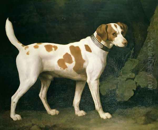 Portrait of a Hound belonging to William Pitt, 1st Earl of Chatham, 1788 Oil Painting by George Stubbs