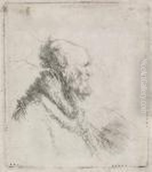 Bald Old Man With Short Beard Oil Painting by Rembrandt Van Rijn