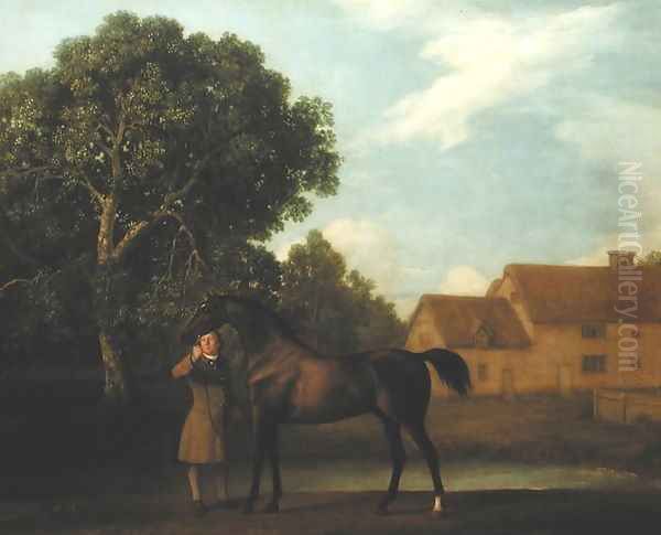 Sweet William, 1783 Oil Painting by George Stubbs