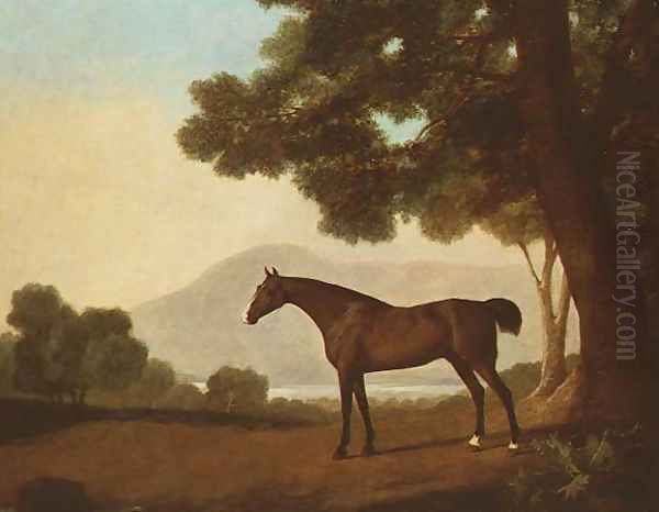 Johnny, a bay stallion in a wooded landscape Oil Painting by George Stubbs