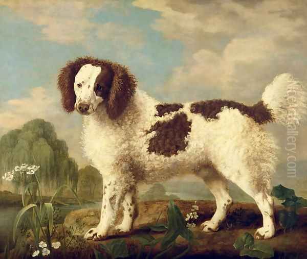 Brown and White Norfolk or Water Spaniel, 1778 Oil Painting by George Stubbs