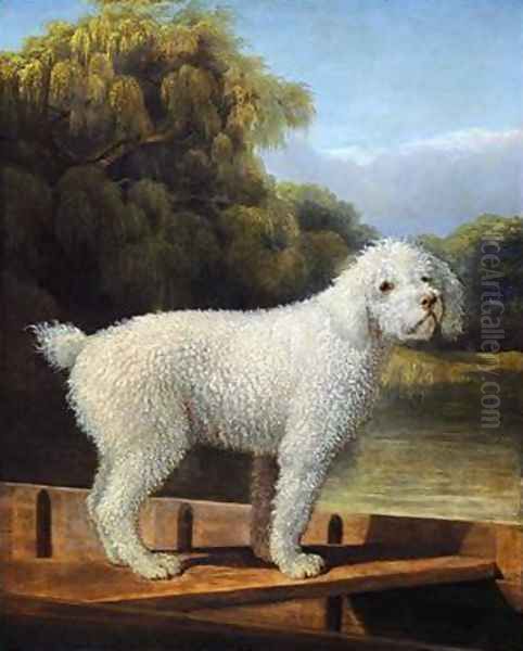 White Poodle in a Punt Oil Painting by George Stubbs