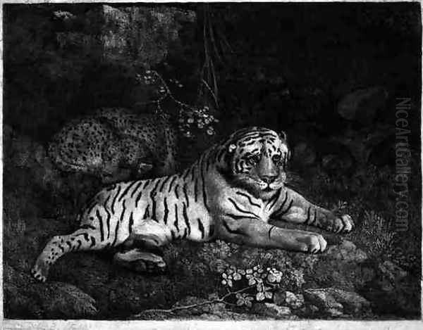 Two Tygers, engraved by the artist, pub. 1788 Oil Painting by George Stubbs