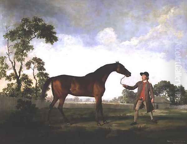 The Duke of Ancasters bay stallion Spectator, held by a groom, c.1762-5 Oil Painting by George Stubbs