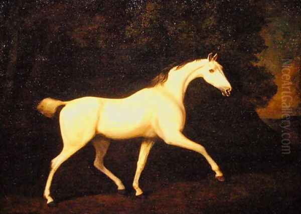 The Earl of Westmorlands Grey Hunter, 1786 Oil Painting by George Stubbs