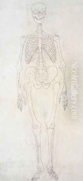 Study of the Human Figure, Anterior View, from A Comparative Anatomical Exposition of the Structure of the Human Body with that of a Tiger and a Common Fowl, c.1795-1806 3 Oil Painting by George Stubbs