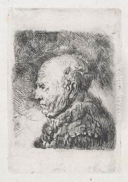 Bald Old Man In Profile: Bust Oil Painting by Rembrandt Van Rijn