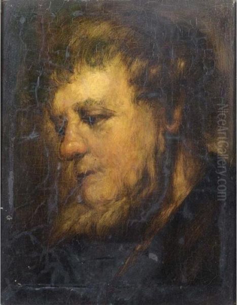 Study Of A Head Of A Bearded Man Oil Painting by Rembrandt Van Rijn