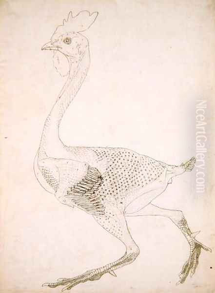 Study of a Fowl, Lateral View, from A Comparative Anatomical Exposition of the Structure of the Human Body with that of a Tiger and a Common Fowl, 1795-1806 6 Oil Painting by George Stubbs