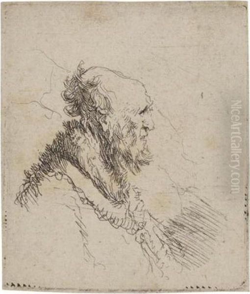 Bald Old Man With A Short Beard Oil Painting by Rembrandt Van Rijn