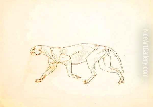 Study of a Tiger, Lateral View, from A Comparative Anatomical Exposition of the Structure of the Human Body with that of a Tiger and a Common Fowl, 1795-1806 2 Oil Painting by George Stubbs