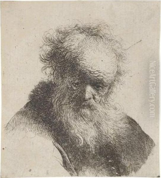 Bust Of An Old Man With Flowing Beard And White Sleeve (b., Holl.291; H.26; Bb.30-10) Oil Painting by Rembrandt Van Rijn