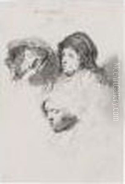 Three Heads Of Women: One Asleep (b., Holl.368; H.152; Bb.37-d) Oil Painting by Rembrandt Van Rijn