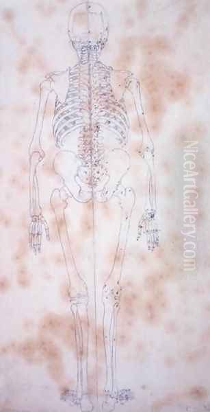 Study of the Human Figure, Posterior View, from A Comparative Anatomical Exposition of the Structure of the Human Body with that of a Tiger and a Common Fowl, c.1795-1806 2 Oil Painting by George Stubbs